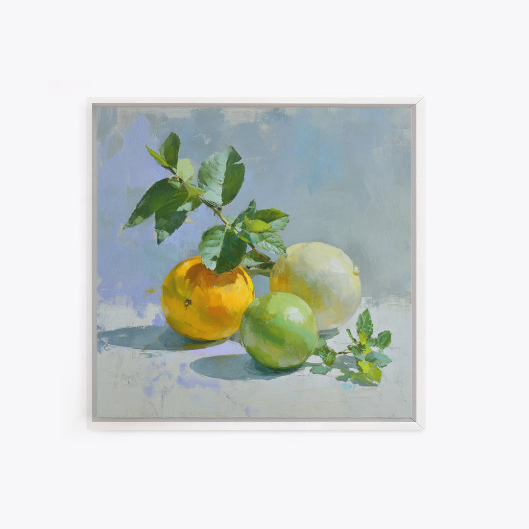 Fresh Citrus and Mint Still Life Canvas Print, Dental Office Art, Dental Office Decor, Office Decor, Calm, Science Art, DOA-1x1-31