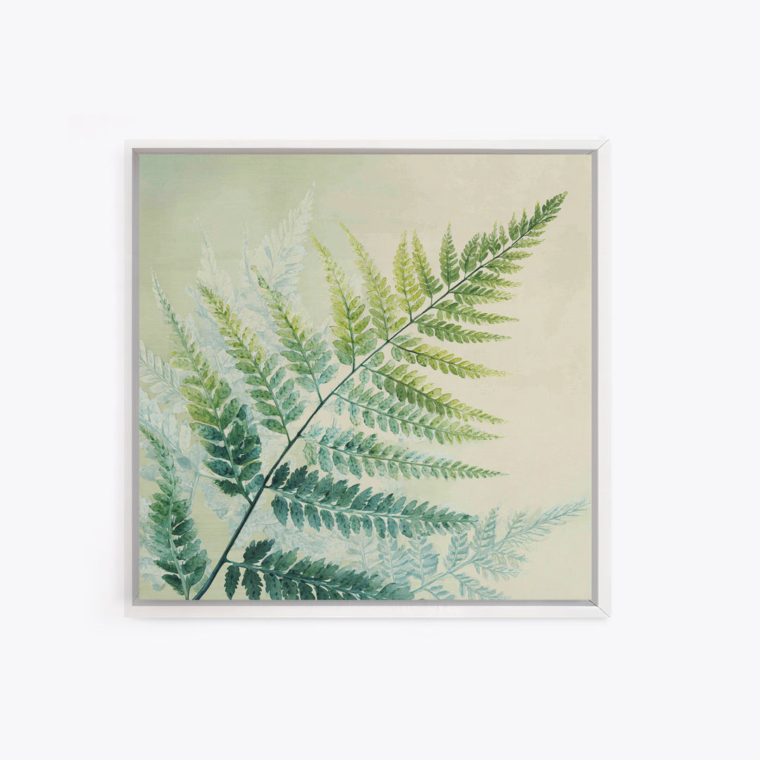 Botanical Fern Study Framed Canvas Print, Dental Office Art, Dental Hygiene, Office Decor, Fine Art, Calm, Medical Office Art, DOA-1x1-43