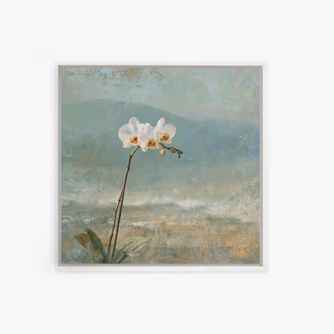 White Orchid on Stone Background Canvas Print, Dental Office Art, Dental Decor, Office Decor, Fine Art, Calm, Wall Decor, DOA-1x1-60