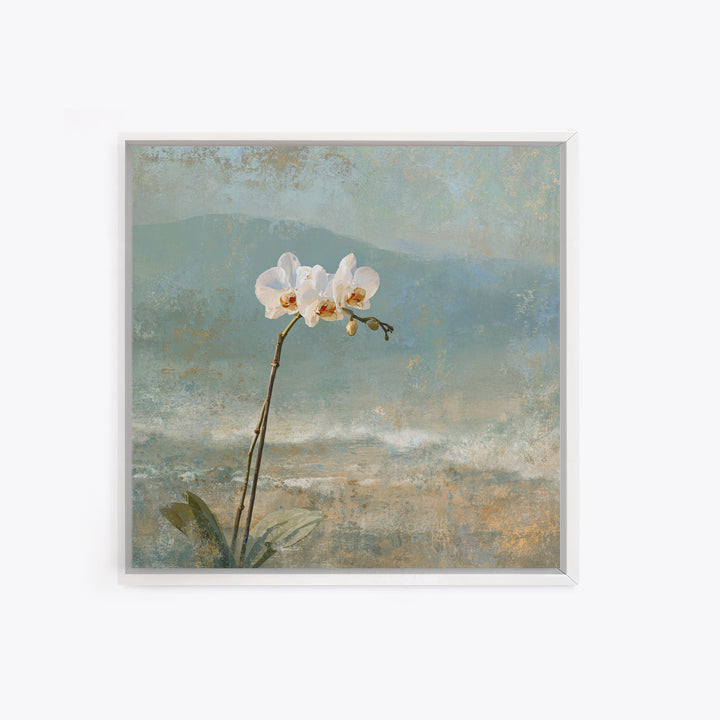 White Orchid on Stone Background Canvas Print, Dental Office Art, Dental Decor, Office Decor, Fine Art, Calm, Wall Decor, DOA-1x1-60