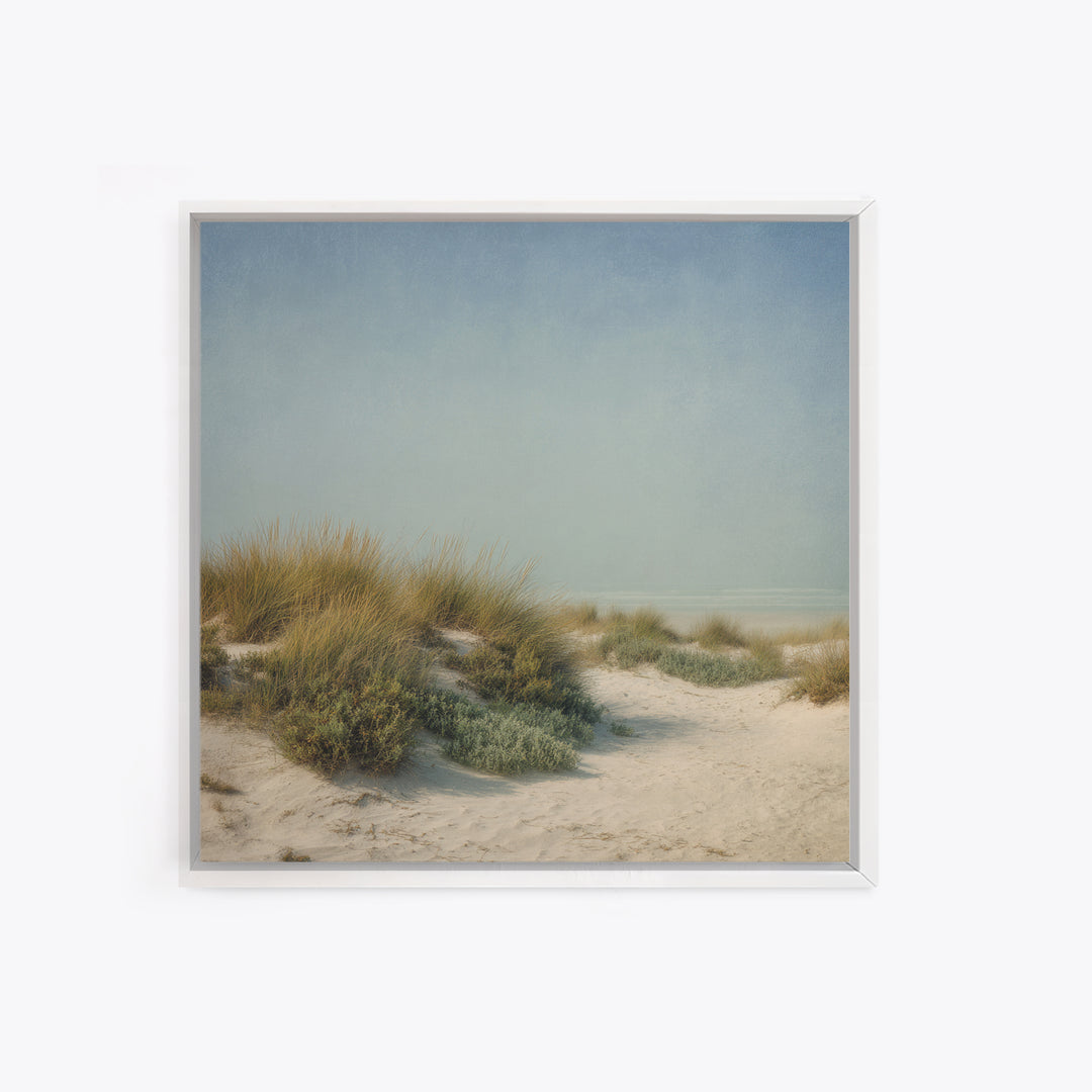Quiet Coastal Dunes Canvas Print, Dental Office Art, Printable Digital, Office Decor, Calm, Neutral Decor, Modern Decor, DOA-1x1-94