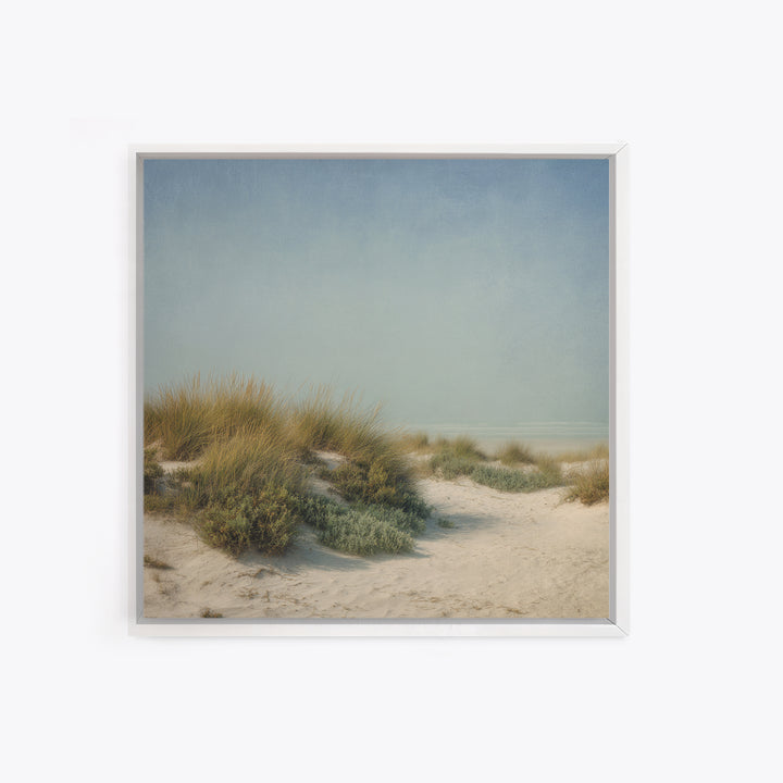 Quiet Coastal Dunes Canvas Print, Dental Office Art, Printable Digital, Office Decor, Calm, Neutral Decor, Modern Decor, DOA-1x1-94