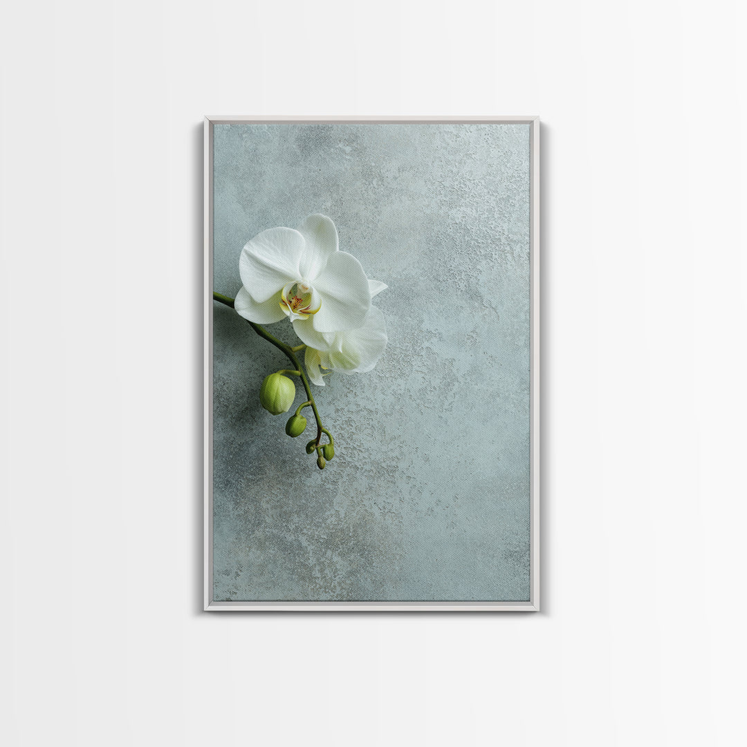 White Orchid on Stone Background Framed Canvas Print, Dental Office Art, Modern Decor, Office Decor, Fine Art, Calm, Poster, DOA-2x3-68