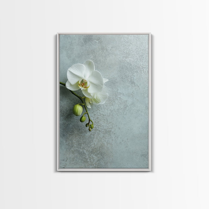 White Orchid on Stone Background Framed Canvas Print, Dental Office Art, Modern Decor, Office Decor, Fine Art, Calm, Poster, DOA-2x3-68