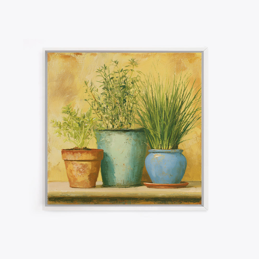 Modern Kitchen Herbs Canvas Print, Dining Room Art, Kitchen Wall Decor, Dining Room Decor, Fine Art, Dining, Statement Artwork, DRA-1x1-9