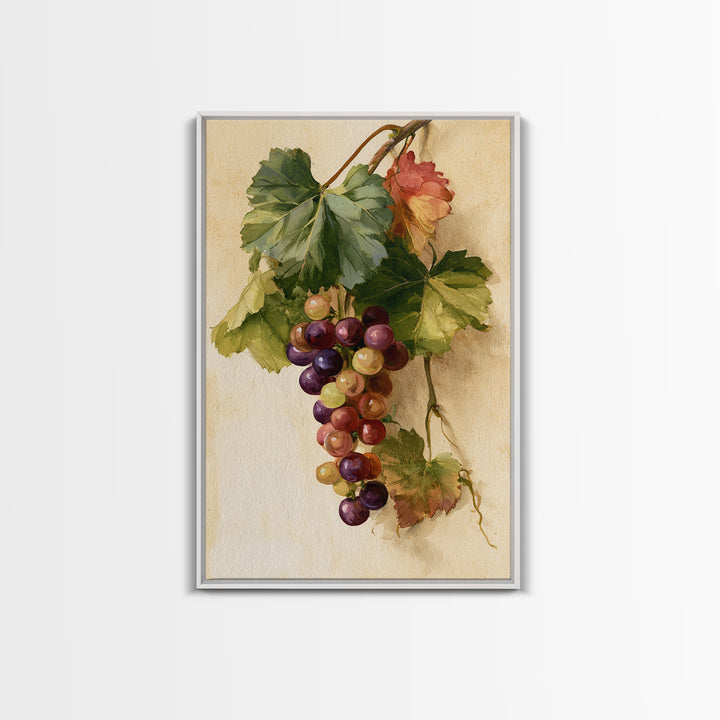 Botanical Grapevine with Leaves and Fruit Canvas Print, Dining Room Art, Large Wall Art, Dining Room Decor, Fine Art, Dining, DRA-2x3-77