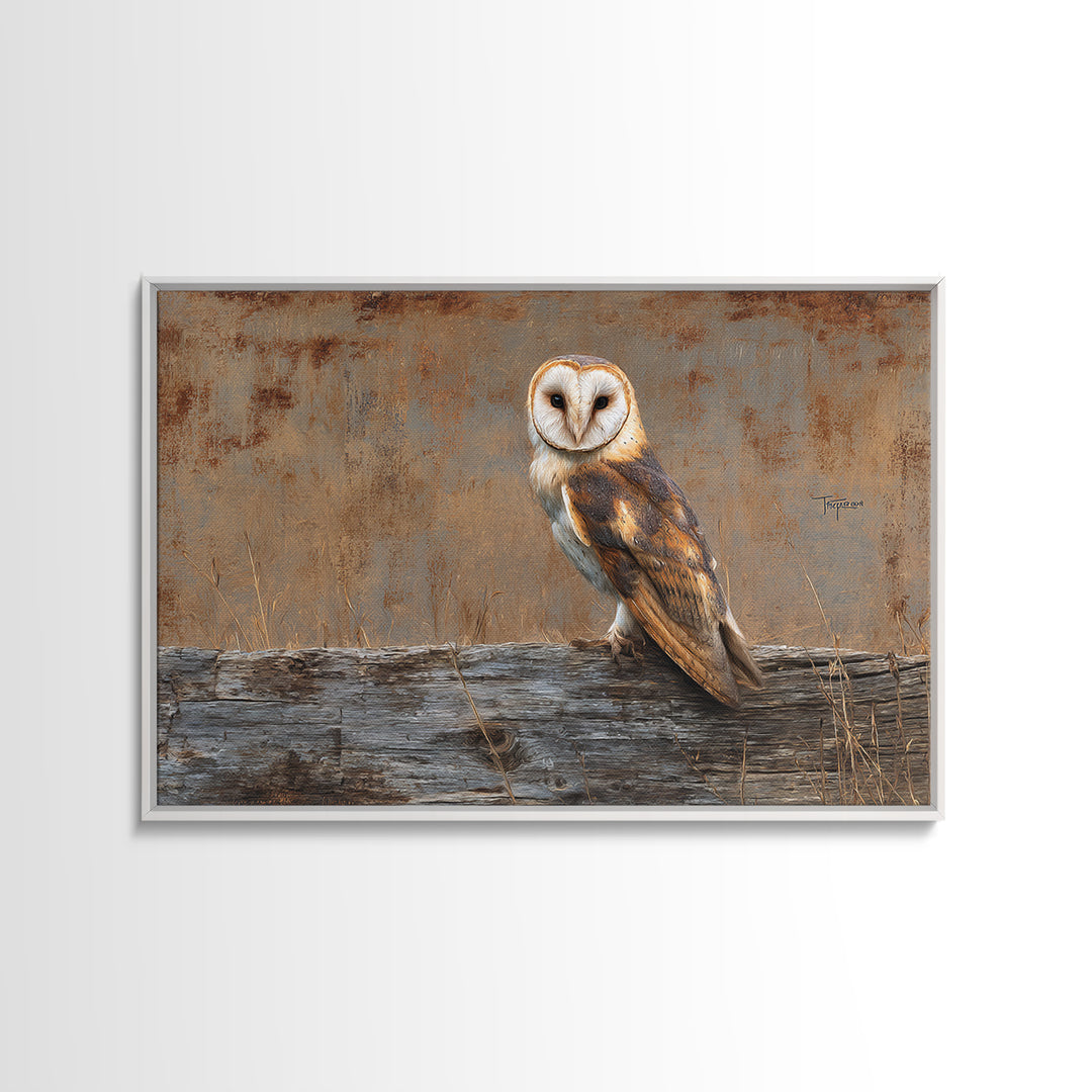 Barn Owl Perched on Aged Wood Framed Canvas Print, Farmhouse Art, Minimalist Decor, Farmhouse Decor, Fine Art, Harvest, FAR-3x2-99