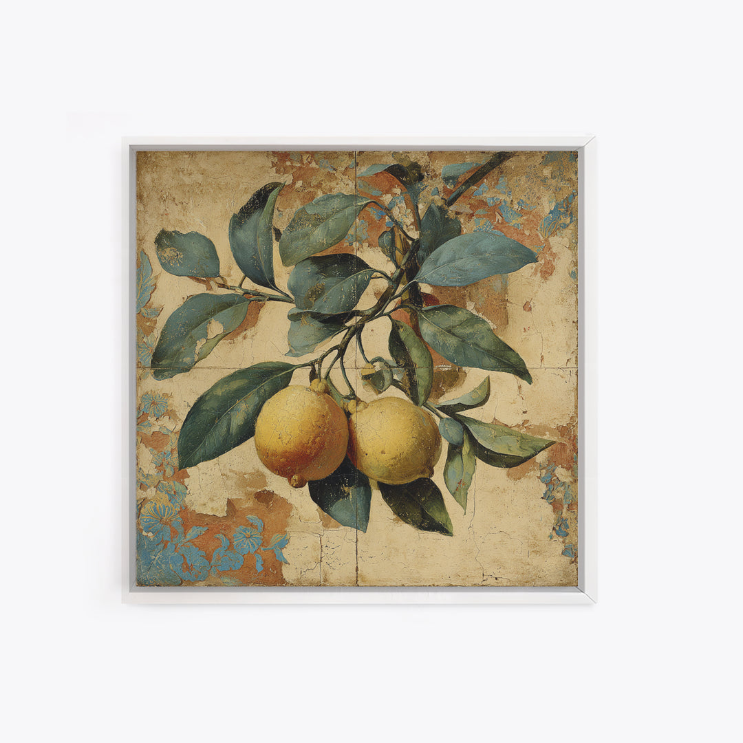 Aged Botanical Plate of Lemons and Leaves Canvas Print, French Country Art, Landscape Wall Art, Farmhouse Decor, Country, FCA-1x1-84