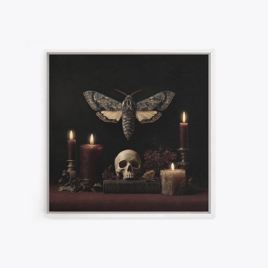 Moth and Skull Composition on Black Velvet Canvas Print, Gothic Art, Canvas Tote Bag, Living Room Decor, Oil Painting, Gothic, GOT-1x1-15
