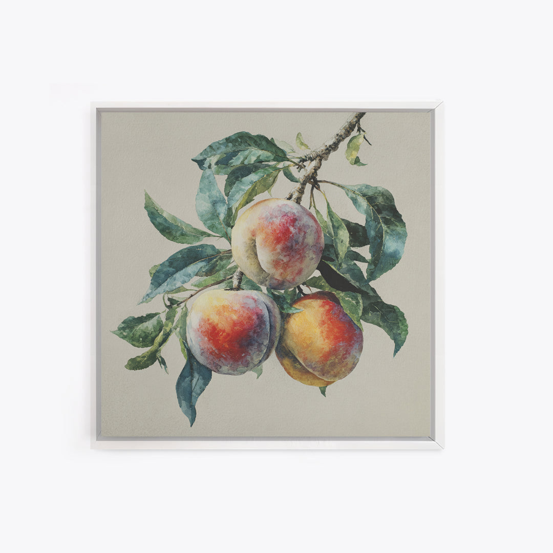 Still Life of Peaches Canvas Print, Impressionist Art, Textured Wall Art, Living Room Decor, Impression, Landscape Painting, IMP-1x1-23