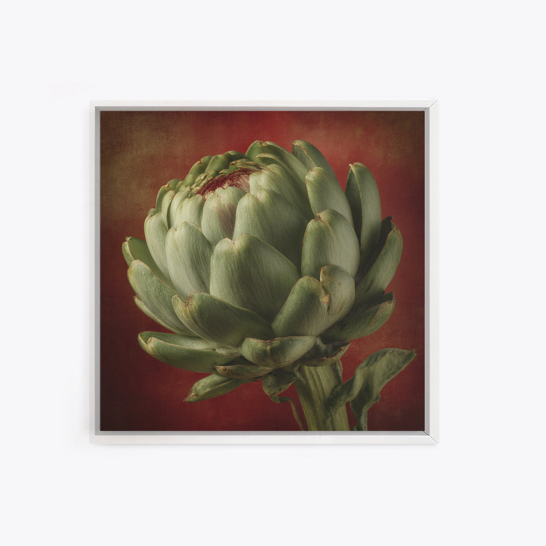 Artichoke Closeup in Painterly Green Tones Canvas Print, Kitchen Art, Prints, Kitchen Decor, Kitchen, Kitchen Wall Decor, KIT-1x1-20