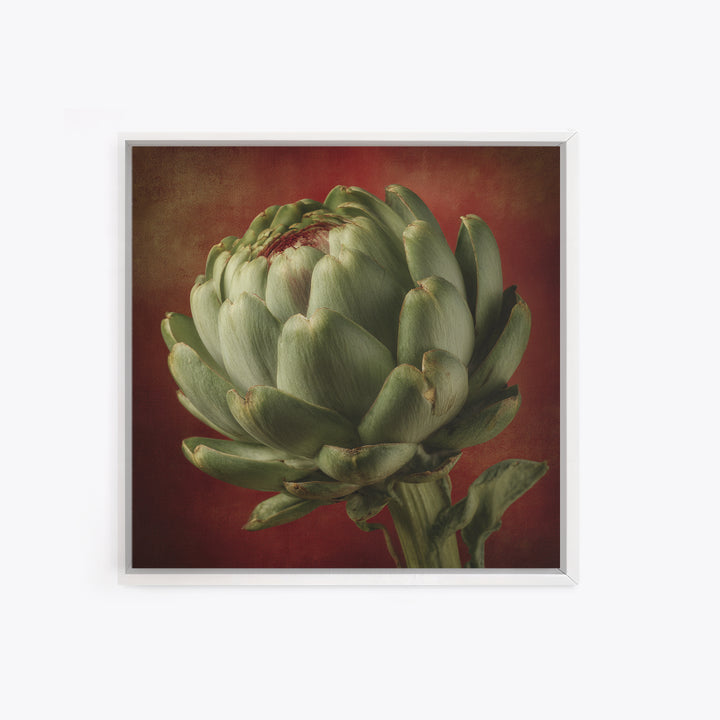 Artichoke Closeup in Painterly Green Tones Canvas Print, Kitchen Art, Prints, Kitchen Decor, Kitchen, Kitchen Wall Decor, KIT-1x1-20