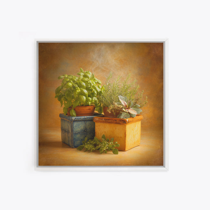 Fresh Herbs in Terracotta Pots Canvas Print, Kitchen Art, Wall Art, Kitchen Decor, Oil Painting, Kitchen, Kitchen Wall Art, KIT-1x1-97
