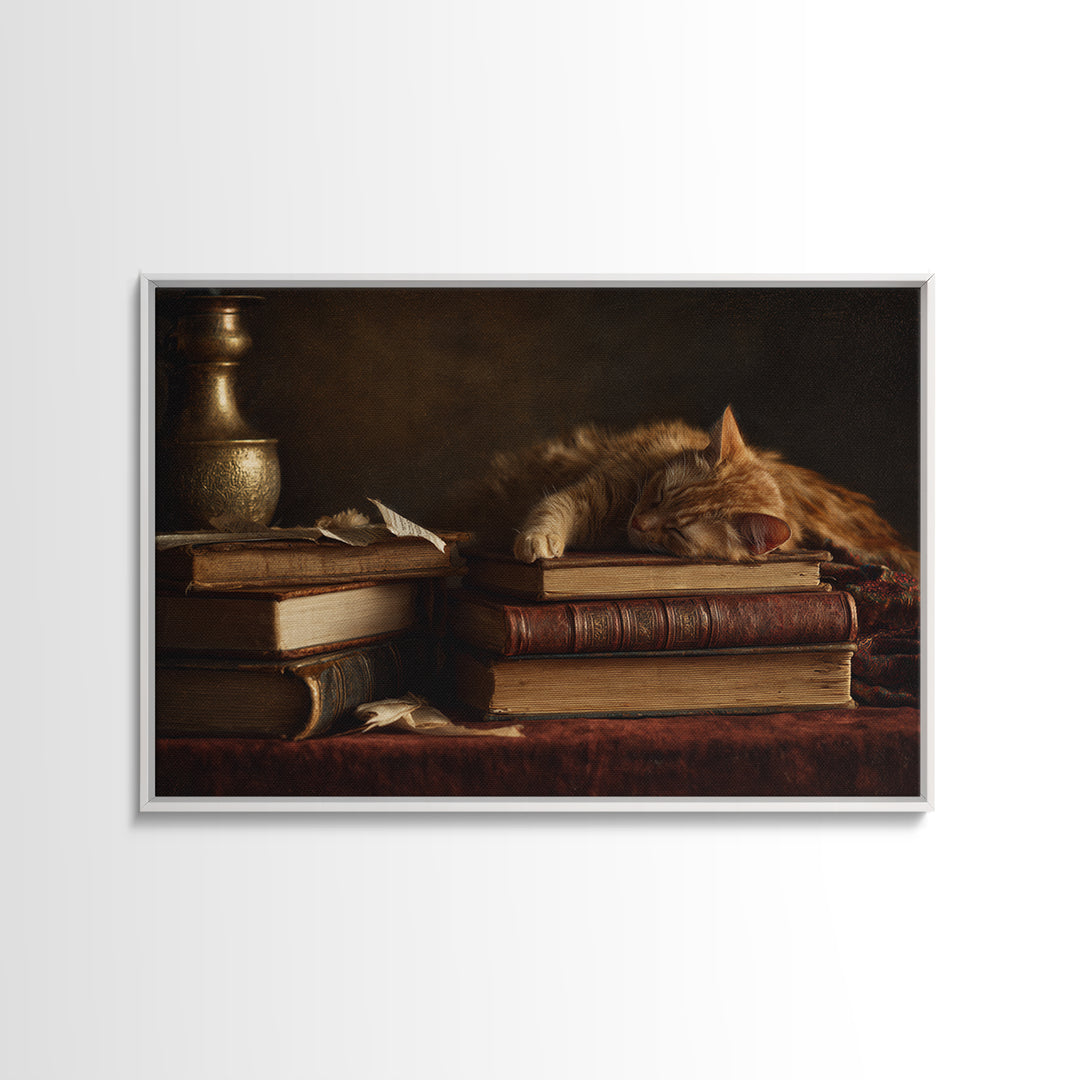 Cat Sleeping on a Book Stack Framed Canvas Print, Library Art, Room Decor, Library Decor, Fine Art, Archive, Printable Art, LIB-3x2-35