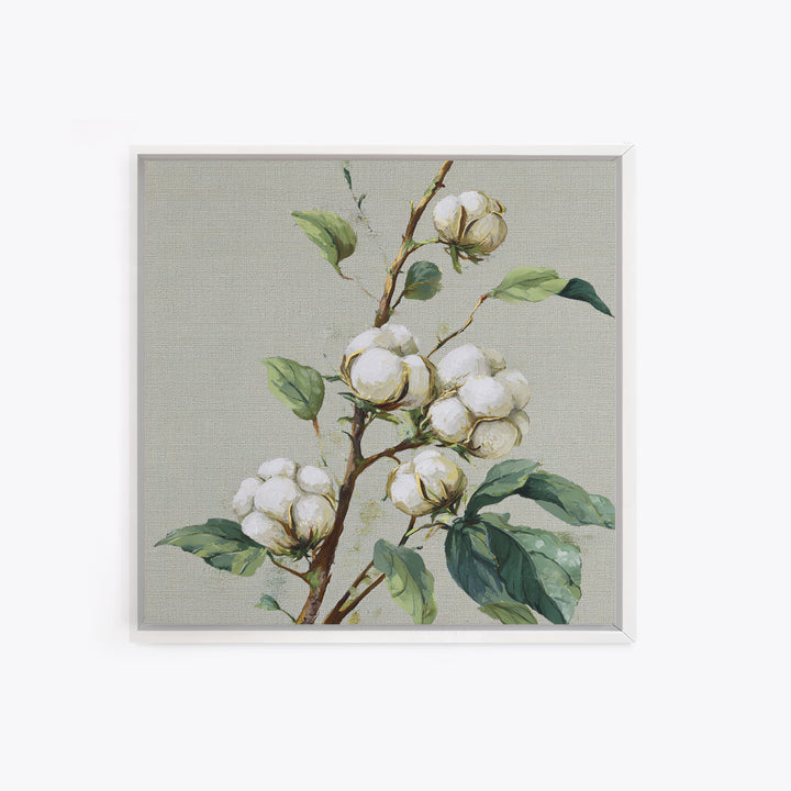 Fresh Cotton Branch Botanical Study Framed Canvas Print, Laundry Room Art, Fine Art Print, Living Room Decor, Fine Art, Clean, LRA-1x1-79