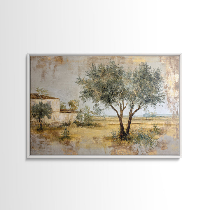 Olive Grove under Pale Morning Light Framed Canvas Print, Mediterranean Art, Nautical Decor, Living Room Decor, Fine Art, Azure, MAR-3x2-69