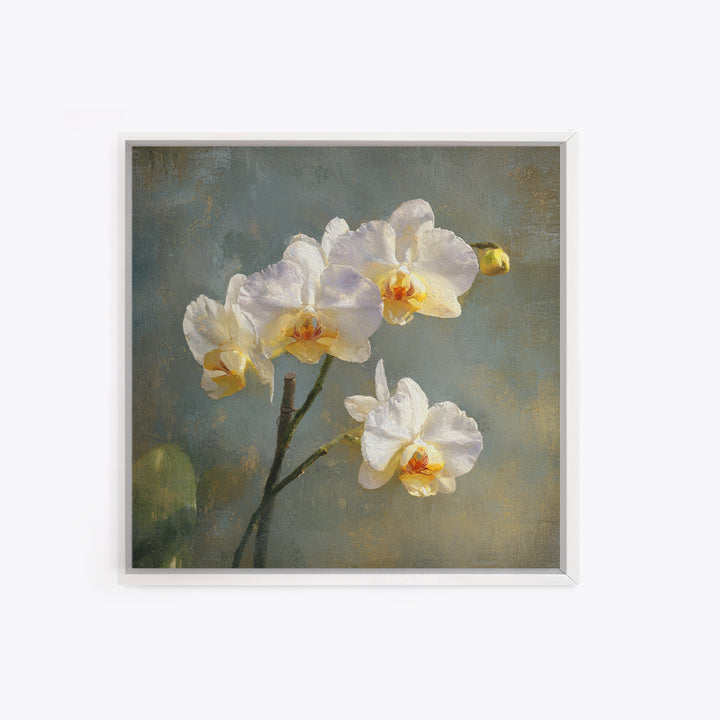 White Orchids Against Warm Gray Background Framed Canvas Print, Master Bedroom, Bedroom Decor, Abstract Art, Sanctuary, MAS-1x1-33