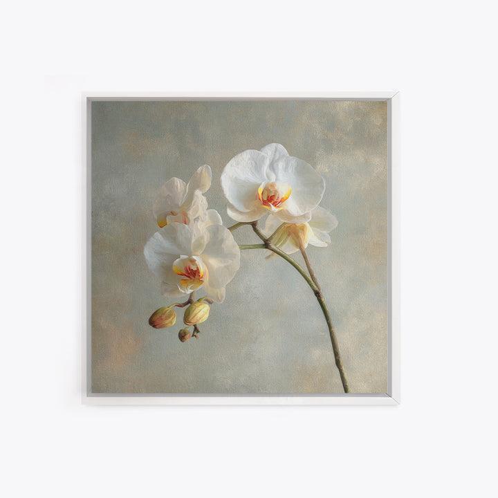 White Orchids Against Warm Gray Background Canvas Print, Master Bedroom, Art Print, Bedroom Decor, Fine Art, Sanctuary, MAS-1x1-81
