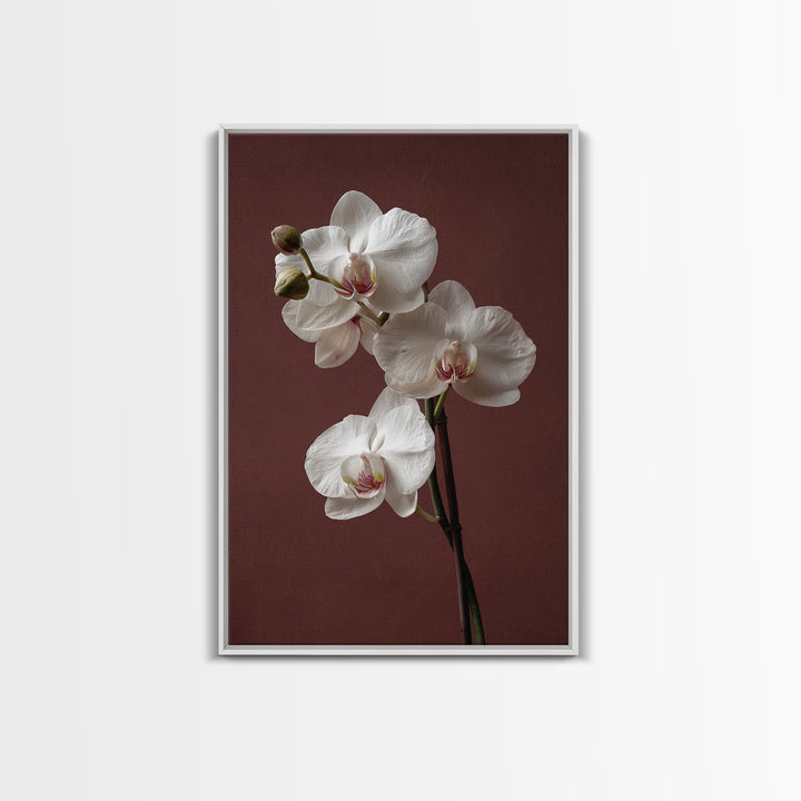 White Orchids Against Warm Gray Background Framed Canvas Print, Master Bedroom, Canvas Print, Bedroom Decor, Abstract Art, MAS-2x3-17