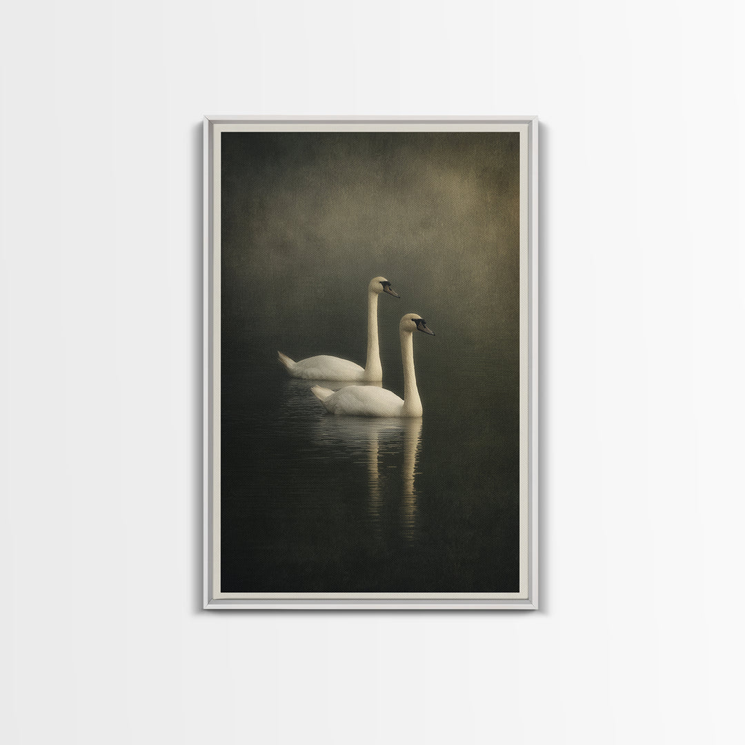 Romantic Swan Pair on Dark Water Canvas Print, Master Bedroom, Large Wall Art, Bedroom Decor, Sanctuary, Bedroom Prints, MAS-2x3-23