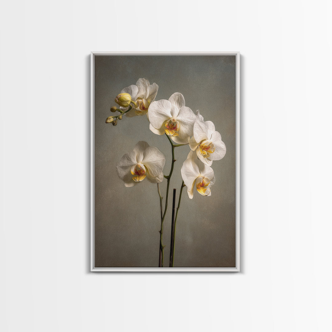White Orchids Against Warm Gray Background Canvas Print, Master Bedroom, Farmhouse Wall Art, Bedroom Decor, Fine Art, Sanctuary, MAS-2x3-65