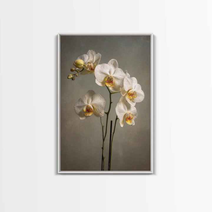 White Orchids Against Warm Gray Background Canvas Print, Master Bedroom, Farmhouse Wall Art, Bedroom Decor, Fine Art, Sanctuary, MAS-2x3-65