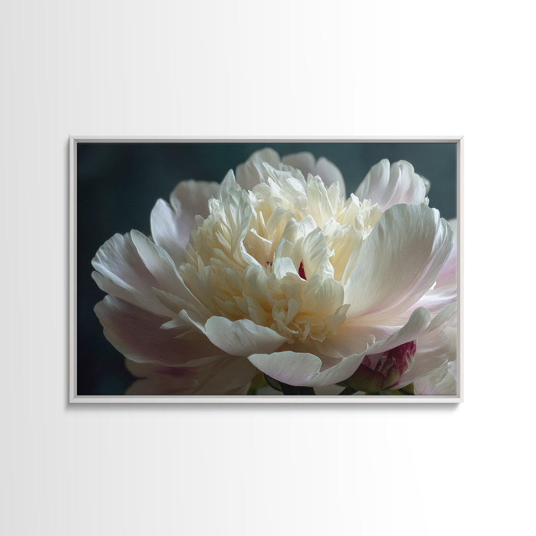 Romantic Neutral Peony Closeup Canvas Print, Master Bedroom, Wall Art Bedroom, Bedroom Decor, Sanctuary, Statement Artwork, MAS-3x2-30