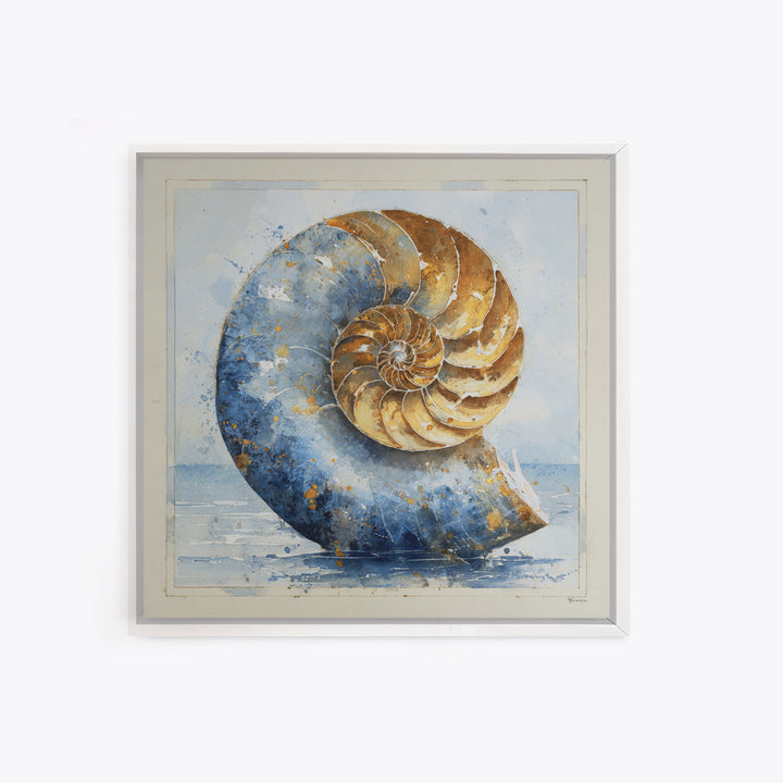 Nautilus Shell Study Canvas Print, Marine Life Art, Beach House Decor, Living Room Decor, Fine Art, Marine, Tropical Wall Art, MLA-1x1-35