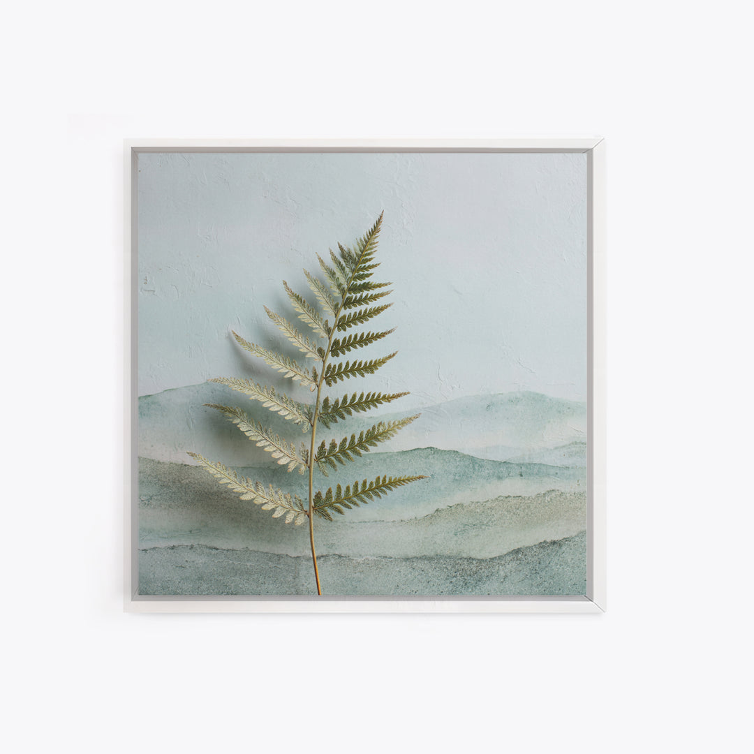 Minimal Green Fern Specimen Framed Canvas Print, Medical Office Art, Teal Wall Art, Office Decor, Fine Art, Calm, Anatomy Art, MOA-1x1-56