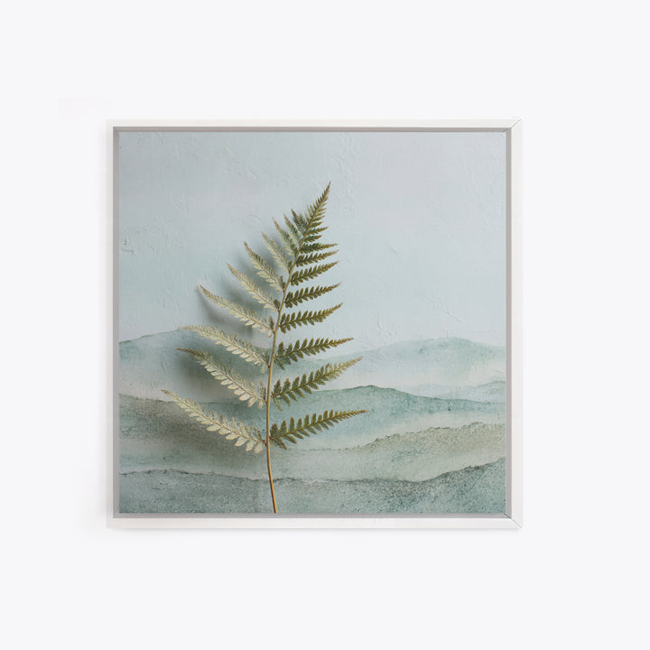 Minimal Green Fern Specimen Framed Canvas Print, Medical Office Art, Teal Wall Art, Office Decor, Fine Art, Calm, Anatomy Art, MOA-1x1-56