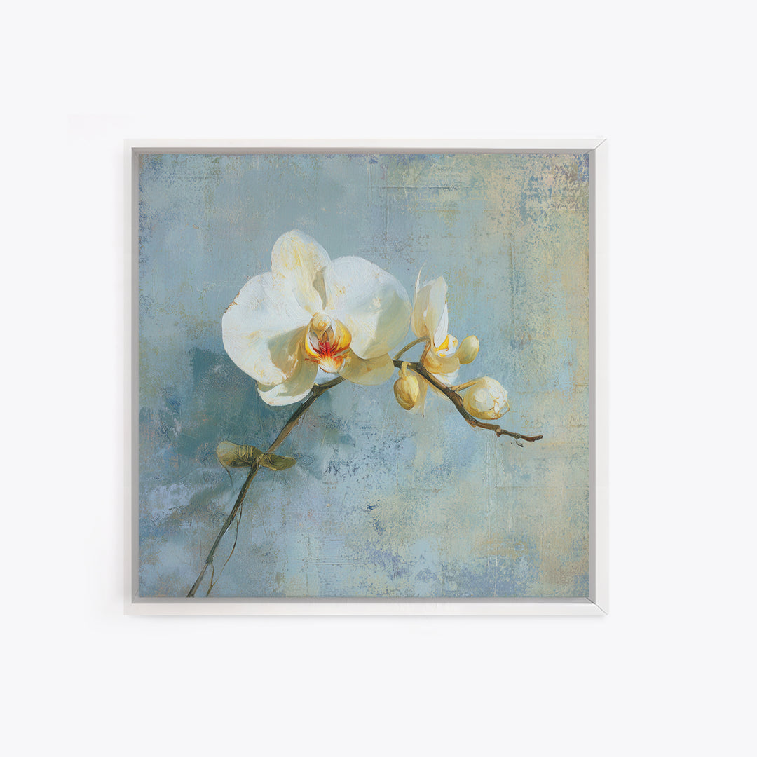 White Orchid on Gray Stone Surface Framed Canvas Print, Medical Office Art, Medical Wall Art, Office Decor, Fine Art, Calm, MOA-1x1-6