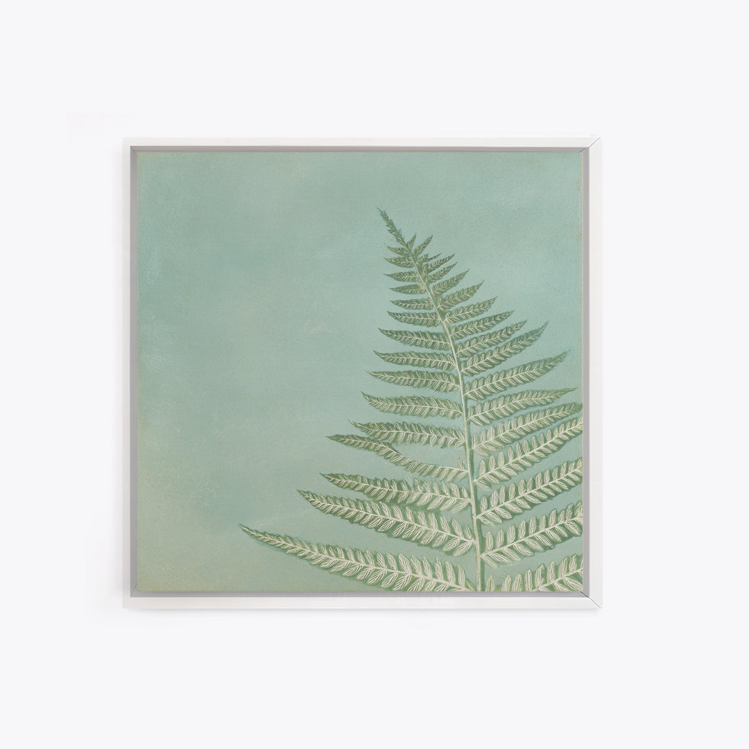 Minimal Green Fern Specimen Framed Canvas Print, Medical Office Art, Modern Decor, Office Decor, Fine Art, Calm, Home Decor, MOA-1x1-80