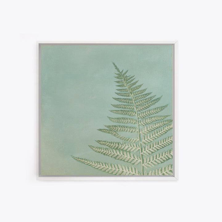 Minimal Green Fern Specimen Framed Canvas Print, Medical Office Art, Modern Decor, Office Decor, Fine Art, Calm, Home Decor, MOA-1x1-80