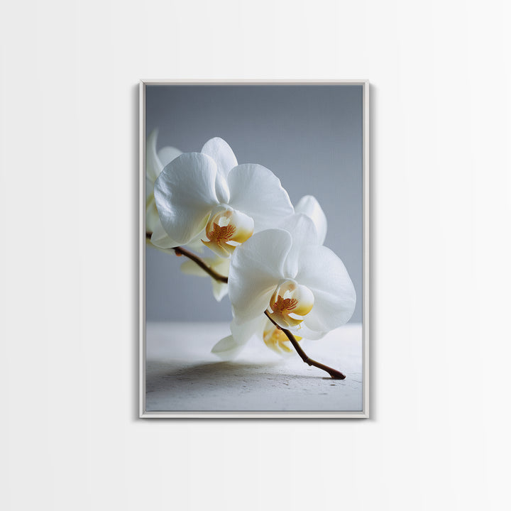 White Orchid on Gray Stone Surface Canvas Print, Medical Office Art, Art Print, Office Decor, Oil Painting, Calm, Printable Art, MOA-2x3-14