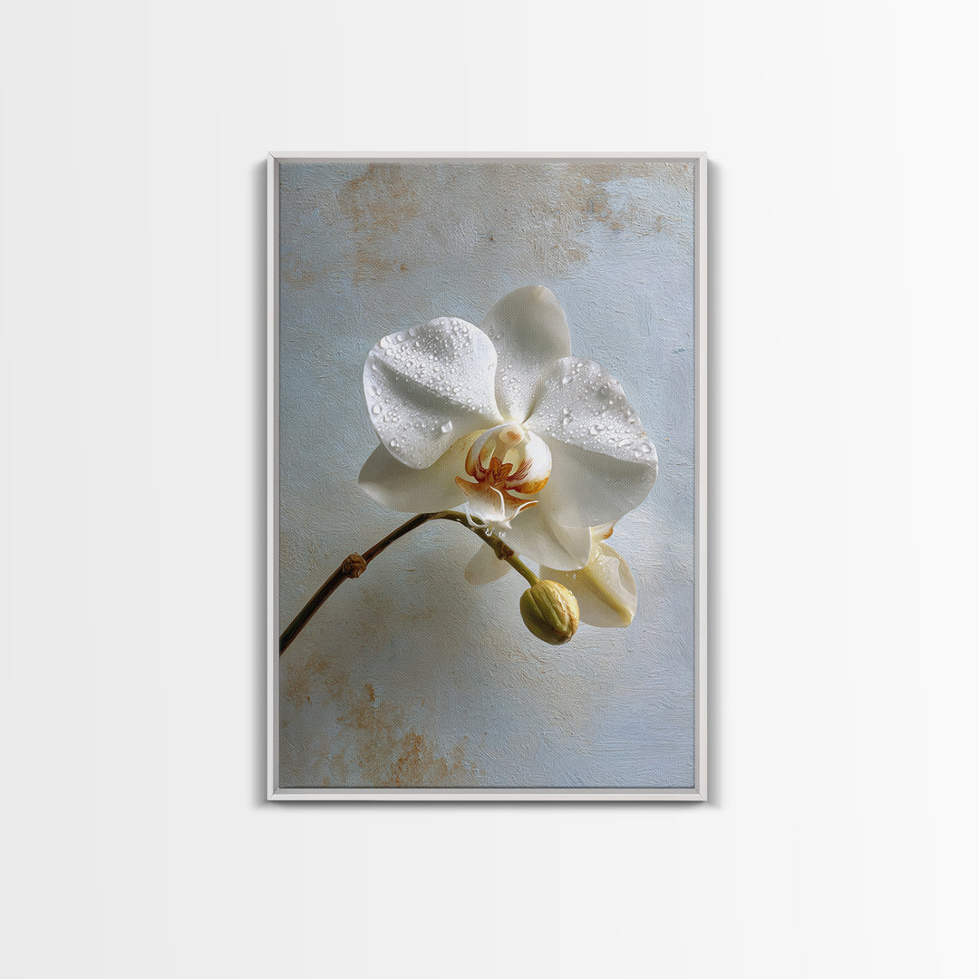 White Orchid on Gray Stone Surface Canvas Print, Medical Office Art, Digital Wall Art, Office Decor, Calm, Healthcare Wall Art, MOA-2x3-86