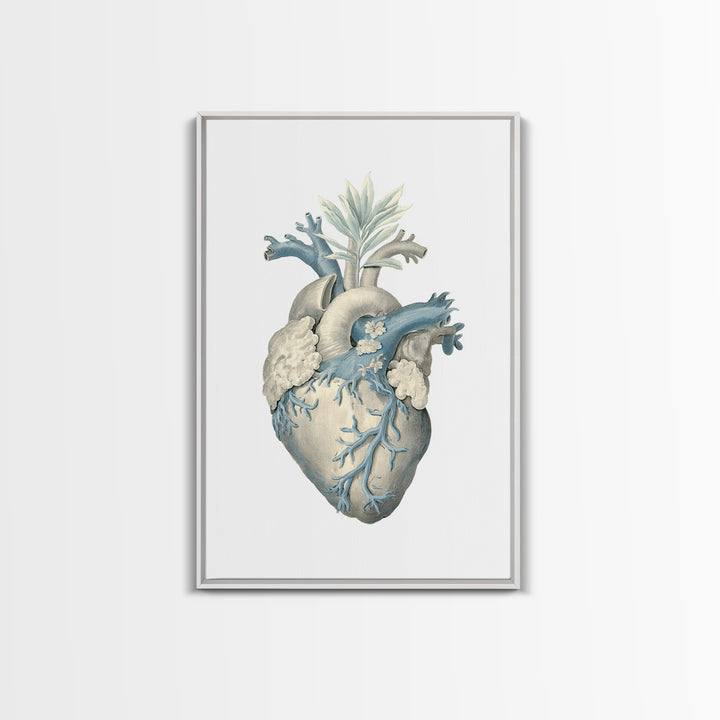 Anatomical Heart Rendered as Tasteful Botanical Art Canvas Print, Medical Office Art, Dental Office Decor, Office Decor, Calm, MOA-2x3-93