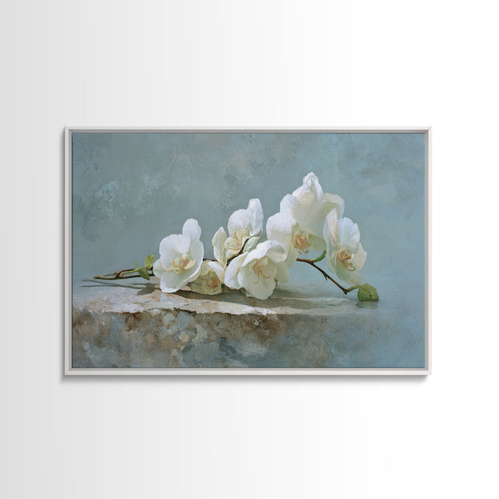 White Orchid on Gray Stone Surface Canvas Print, Medical Office Art, Brain Poster, Office Decor, Fine Art, Calm, Medical School, MOA-3x2-34