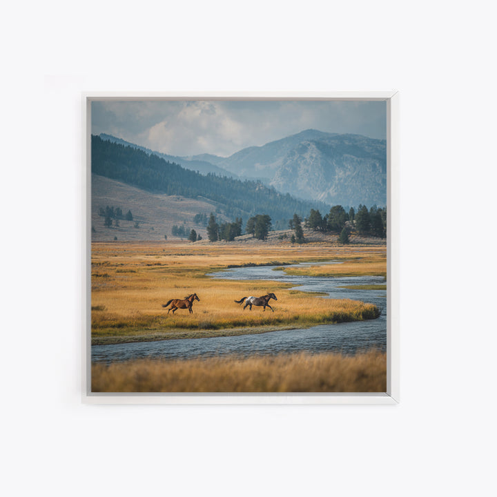 Wild Horses Running Near Mountain Ridge Canvas Print, Nature Art, Modern Wall Art, Living Room Decor, Fine Art, Nature, NAT-1x1-22