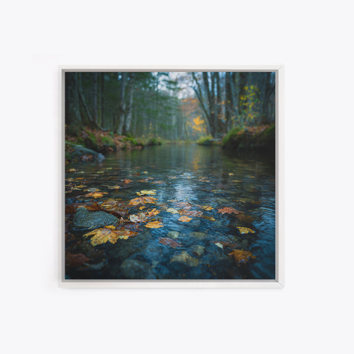Autumn Leaves Floating on Quiet Stream Canvas Print, Nature Art, Digital Download Art, Living Room Decor, Oil Painting, Nature, NAT-1x1-30