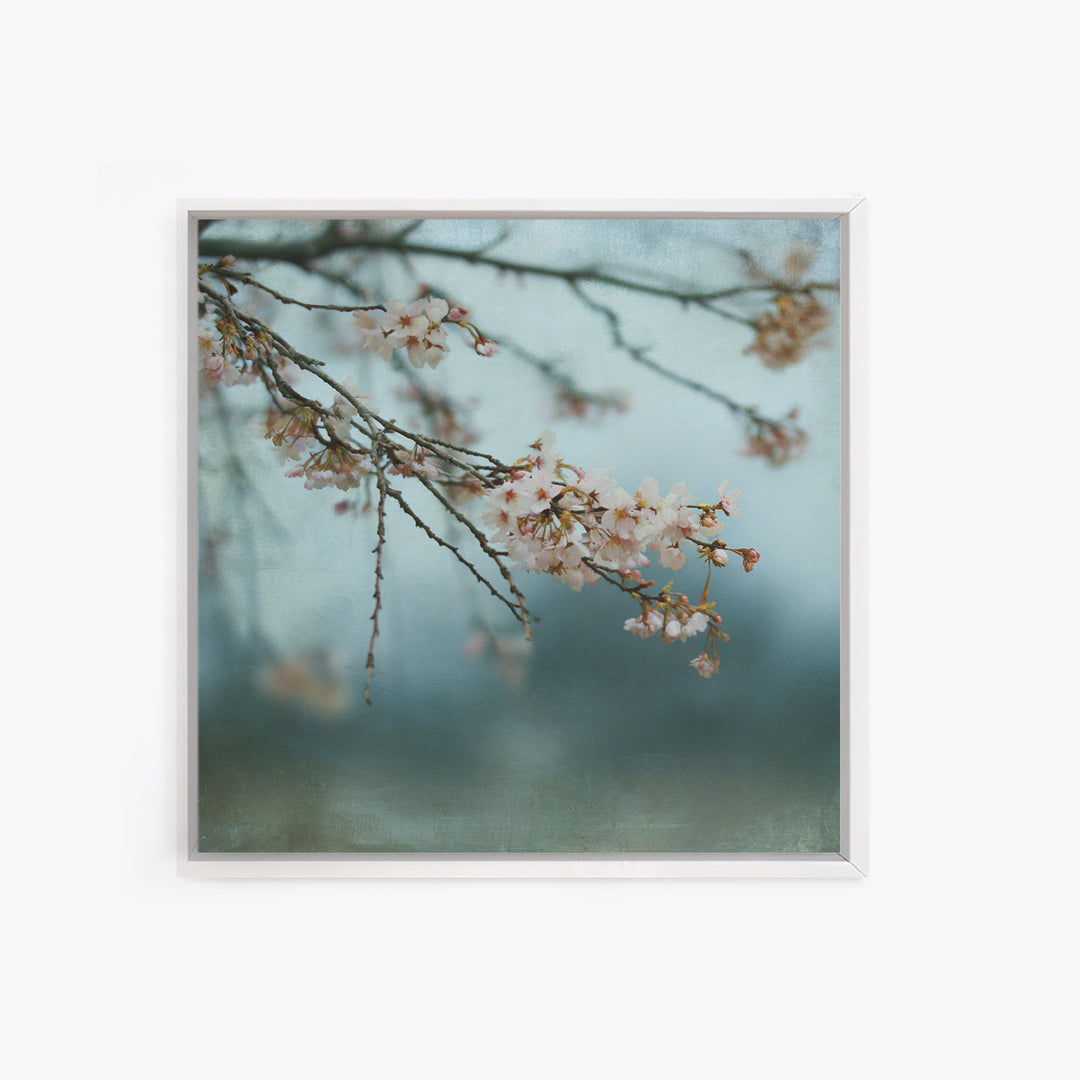 Spring Cherry Blossoms Framed Canvas Print, Nature Art, Art Print, Living Room Decor, Fine Art, Nature, Printable Wall Art, NAT-1x1-40