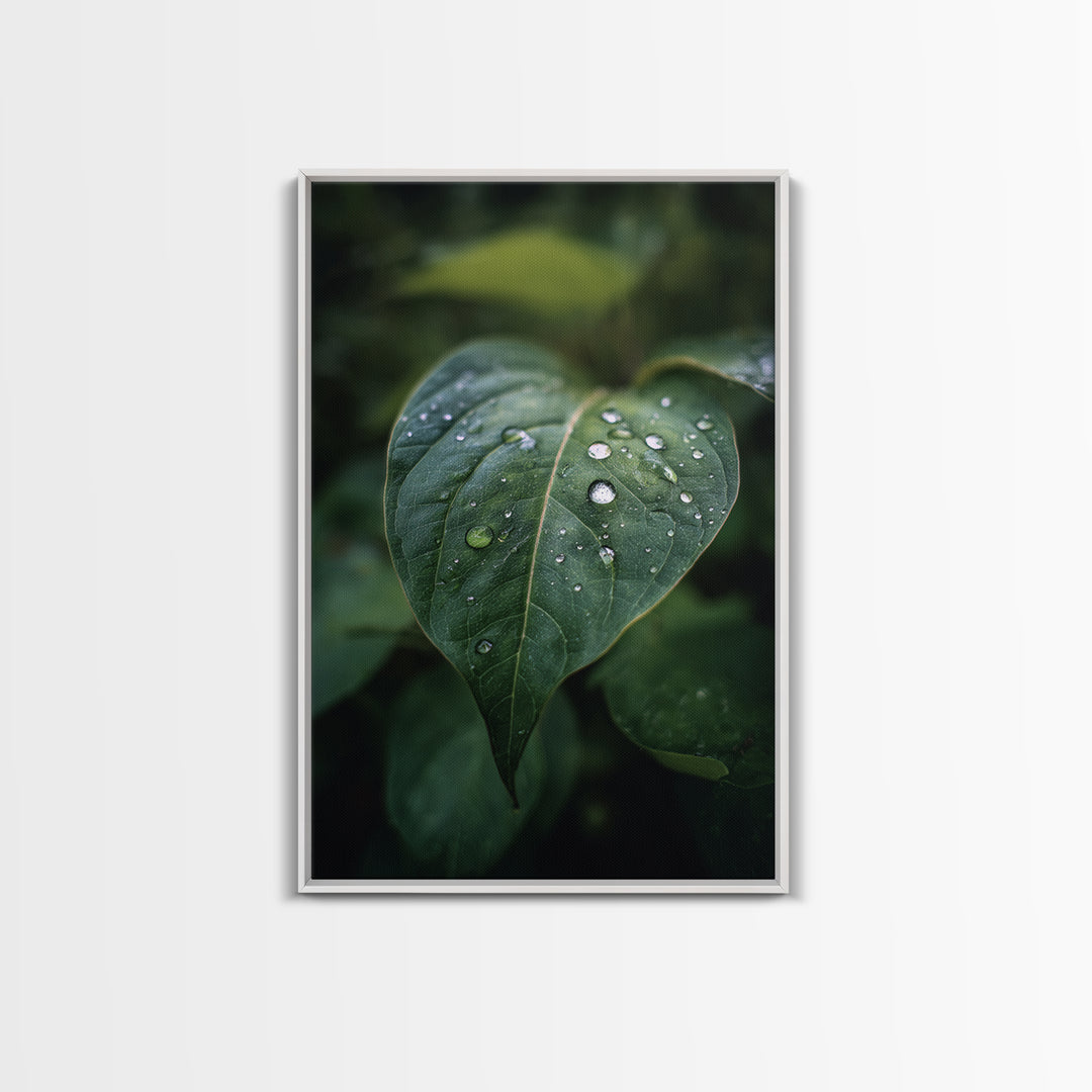 Rain Drops on a Large Green Leaf Canvas Print, Nature Art, Floral, Living Room Decor, Oil Painting, Nature, Moss Art, NAT-2x3-65