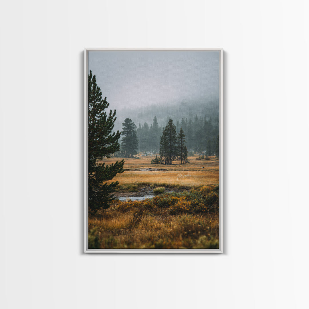 Moody Pine Forest Framed Canvas Print, Nature Art, Framed Art, Living Room Decor, Nature, Botanical Art, Digital Download Art, NAT-2x3-73
