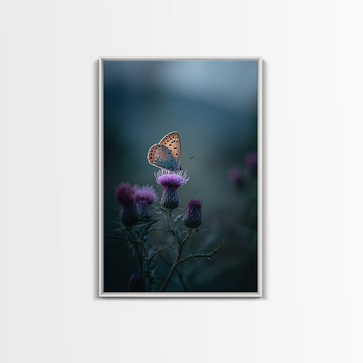 Butterfly Resting on a Blooming Thistle Framed Canvas Print, Nature Art, Landscape Art, Living Room Decor, Fine Art, Nature, NAT-2x3-84