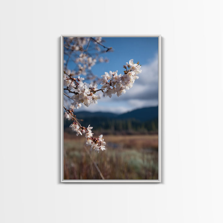 Spring Cherry Blossoms Canvas Print, Nature Art, Original Painting, Living Room Decor, Fine Art, Nature, Mountain Wall Art, NAT-2x3-96