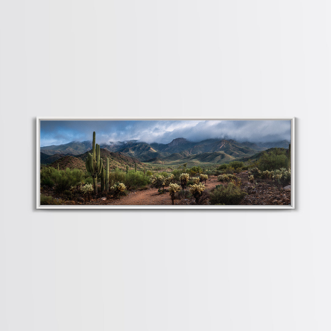 Desert Cactus Blooming After Rain Canvas Print, Nature Art, Mountain Art, Living Room Decor, Fine Art, Nature, Minimalist Decor, NAT-3x1-36