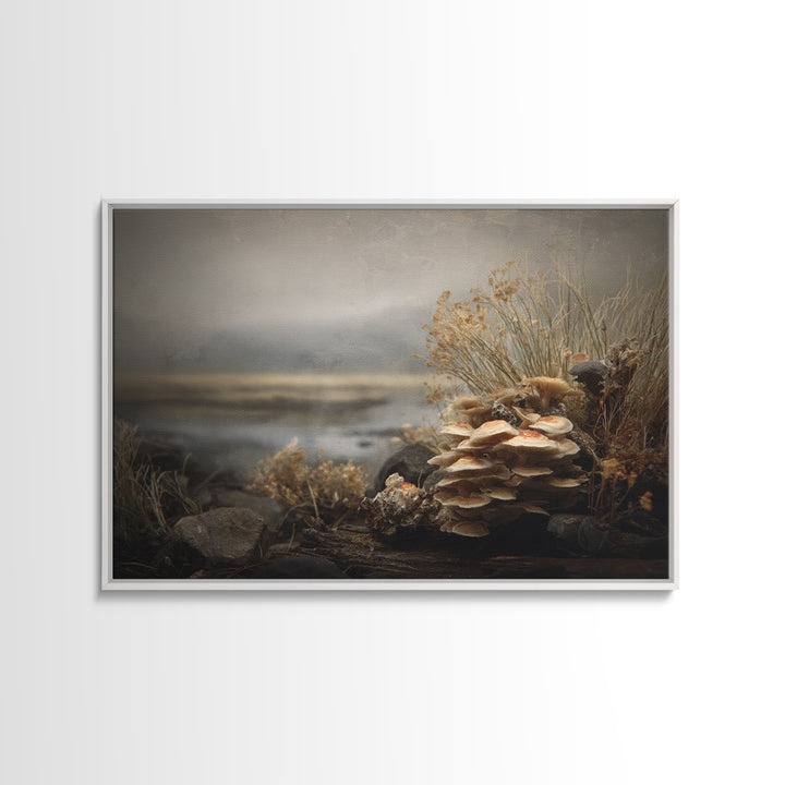 Mushroom Cluster in Enchanted Woodland Canvas Print, Nature Art, Mountain Wall Art, Living Room Decor, Fine Art, Nature, NAT-3x2-11