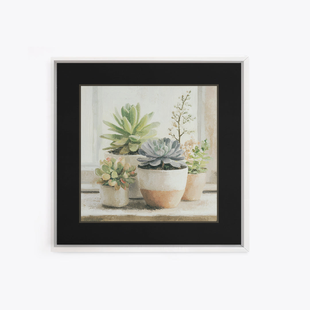 Succulent Collection in Ceramic Planters Framed Canvas Print, Patio Art, Mixed Media Art, Patio Decor, Fine Art, Outdoor, PAT-1x1-21