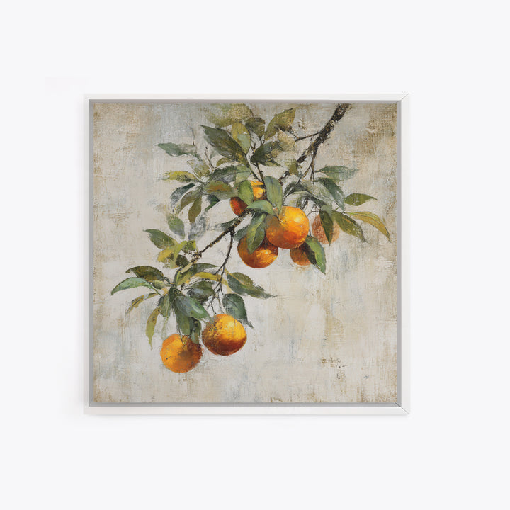 Orange Tree Branch Canvas Print, Patio Art, Coastal Wall Decor, Patio Decor, Fine Art, Outdoor, Gallery Decor, Neutral Decor, PAT-1x1-22