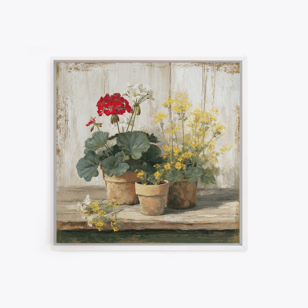Potted Geraniums in Rustic Clay Pots Framed Canvas Print, Patio Art, Family Wall Art, Patio Decor, Fine Art, Outdoor, PAT-1x1-38