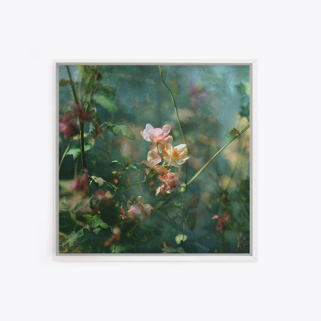 Sunset over Garden Flowers and Vines Framed Canvas Print, Patio Art, Fine Art Print, Patio Decor, Fine Art, Outdoor, Wall Decor, PAT-1x1-79
